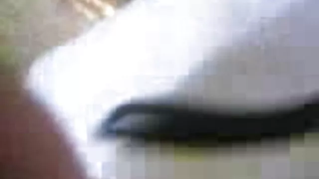पोर्न ऑनलाइन पंजीकरण नहीं टॉप सेक्सी वीडियो सेक्स