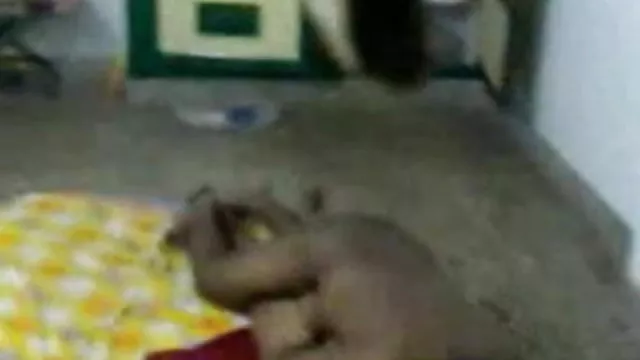 पोर्न ऑनलाइन पंजीकरण नहीं भारतीय पावर चाची 1058 (भाग 01)