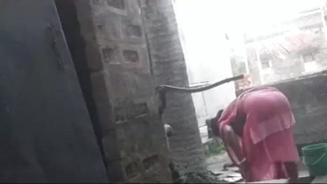 पोर्न ऑनलाइन पंजीकरण नहीं सेक्सी ओपन सेक्सी विडियो चाची का जन्म
