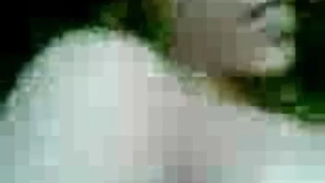 पोर्न ऑनलाइन पंजीकरण नहीं हैदराबाद सेक्सी फिल्म डाउनलोड करनी है सींग का बना हुआ प्रेमिका