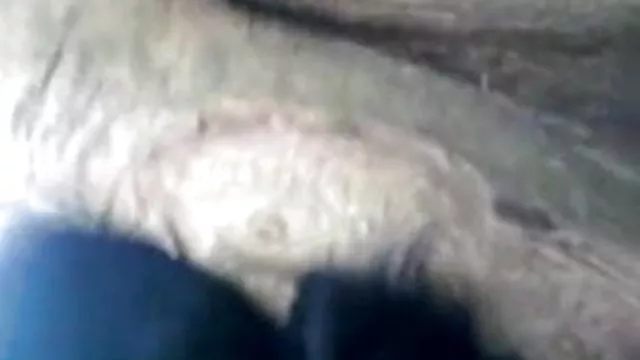 पोर्न ऑनलाइन पंजीकरण नहीं भारतीय वीडियो चाची 1335