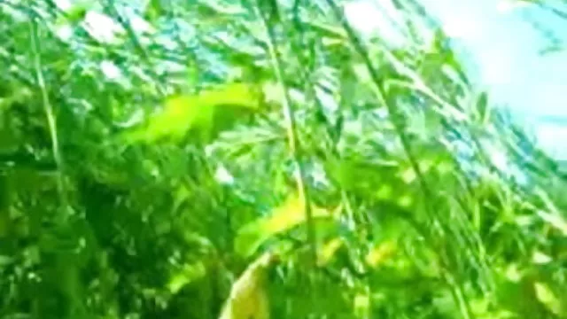 पोर्न ऑनलाइन पंजीकरण नहीं जोड़ी हिंदी में वन